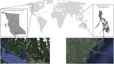 Ability to Swim (Not Morphology or Environment) Explains Interspecific Differences in Crinoid Arm Regrowth